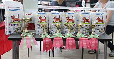   22-23  2014,   169A8618 copy.jpg